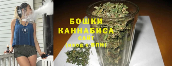 прущие грибы Чердынь