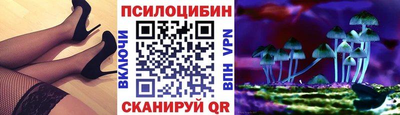 Псилоцибиновые грибы мухоморы  Купить  Пущино 